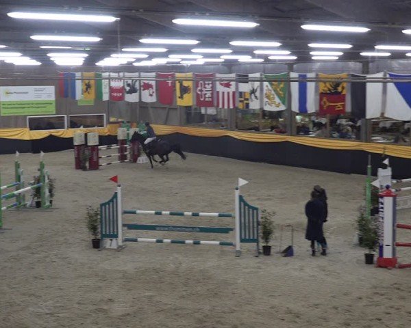 Reitturnier Erlen 2025