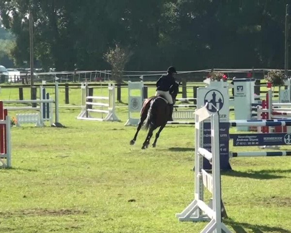 Herbstturnier RV Voerde e.V. 2013