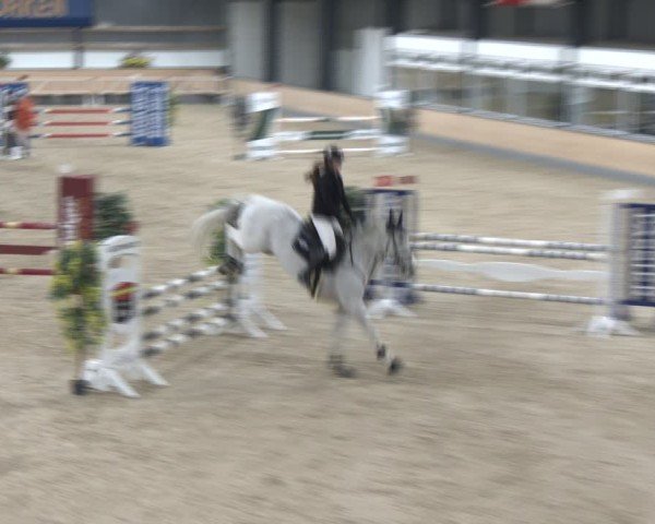 Reitturnier Borken (Hessen) 2025