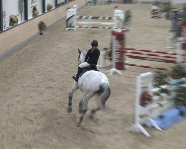 Reitturnier Borken (Hessen) 2025