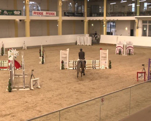 Reitturnier Stadl-Paura 2025
