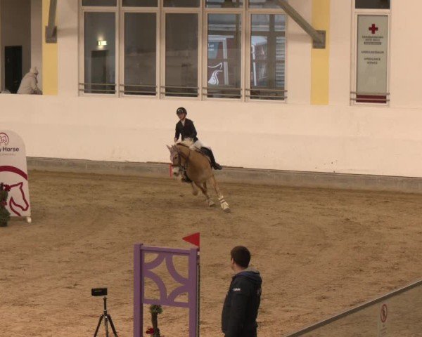 Reitturnier Stadl-Paura 2025