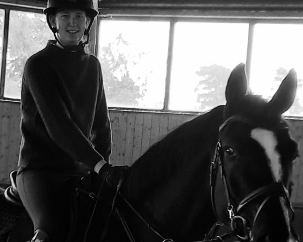horse Libello (Holsteiner, 2019, from Livello)