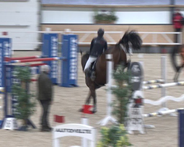 Reitturnier Borken (Hessen) 2025