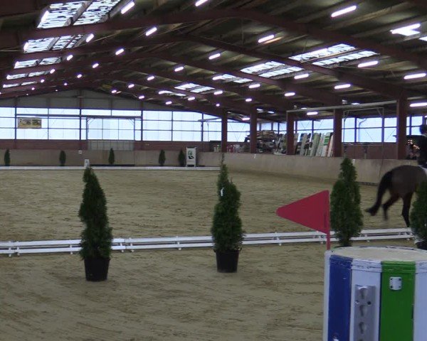 Reitturnier Ostenfelde-Vornholz 2025