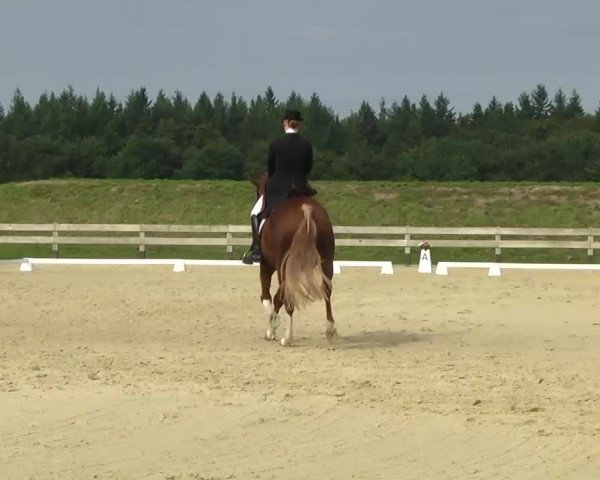 Linkenheim Hochstetten 2013