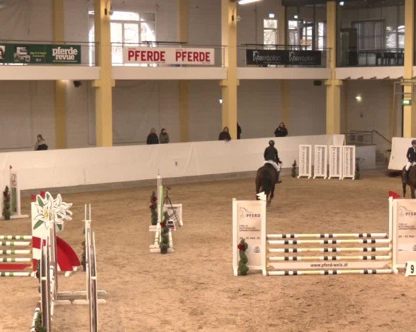 Reitturnier Stadl-Paura 2025