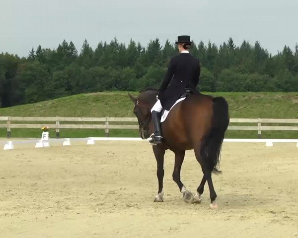 Linkenheim Hochstetten 2013