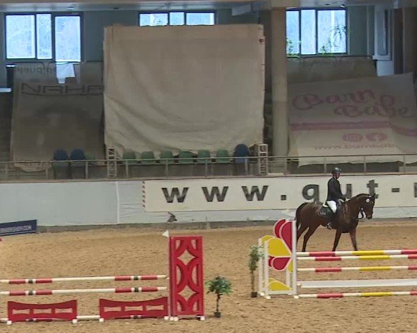 Reitturnier Kreuth/Opf. 2025
