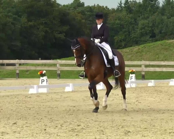Linkenheim Hochstetten 2013