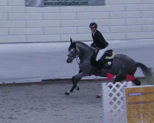 Reitturnier Zweibrücken - Halle 2025