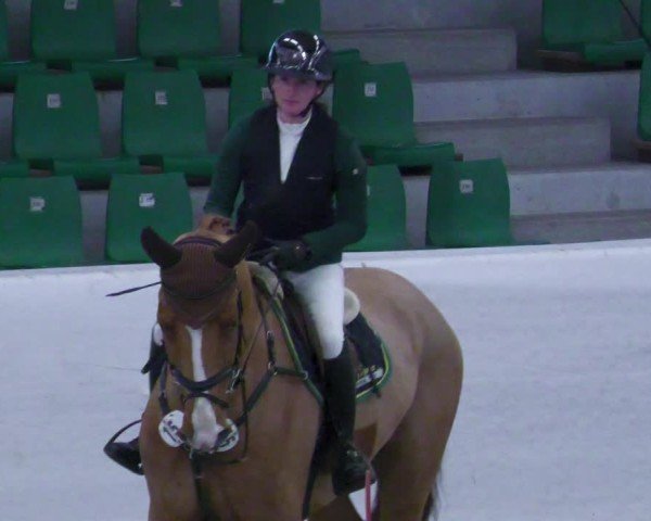 Reitturnier Zweibrücken - Halle 2025