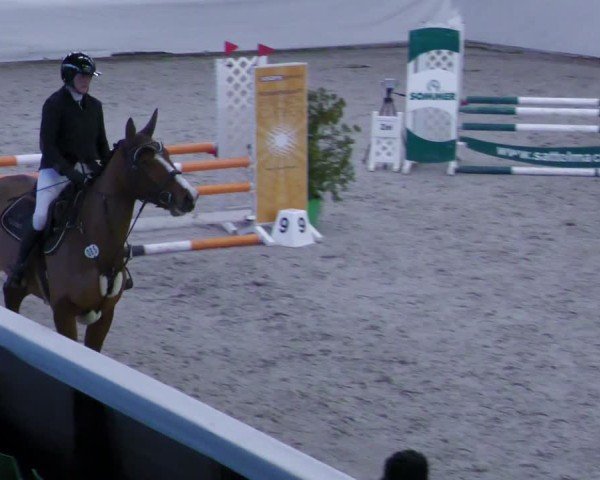 Reitturnier Zweibrücken - Halle 2025