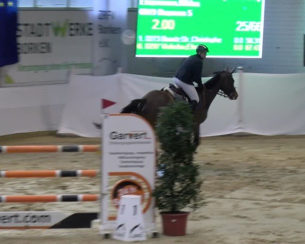 Reitturnier Borken 2025
