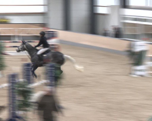 Reitturnier Borken (Hessen) 2025