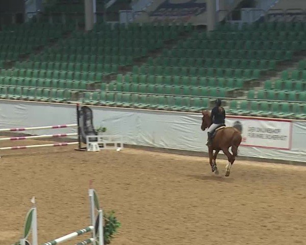 Reitturnier Kreuth/Opf. 2025
