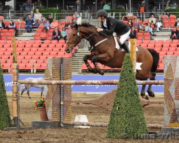 jumper Pick Me Nzph (New Zealand Warmblood, 2002, from Rox de la Touche)