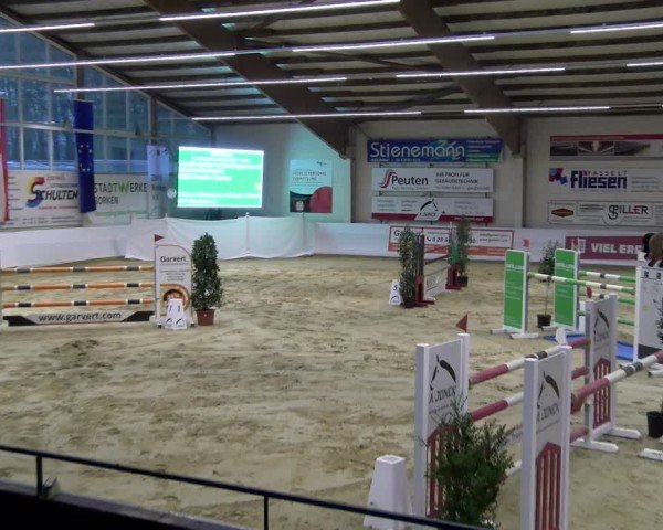 Reitturnier Borken 2025