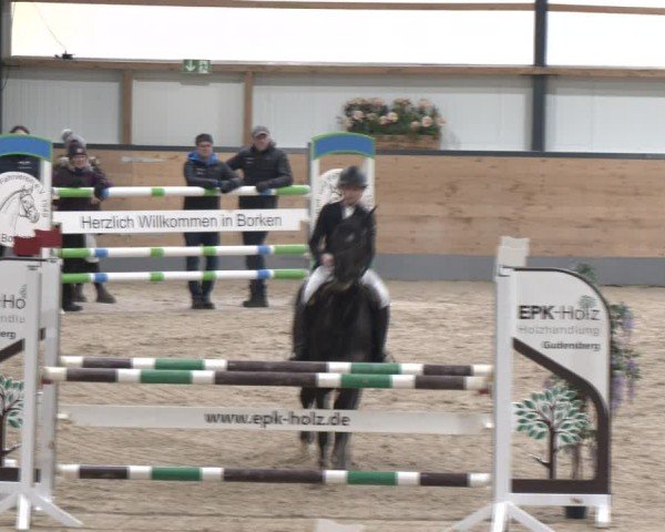 Reitturnier Borken (Hessen) 2025