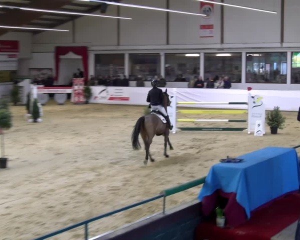 Reitturnier Borken 2025