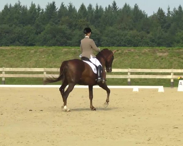 Linkenheim Hochstetten 2013