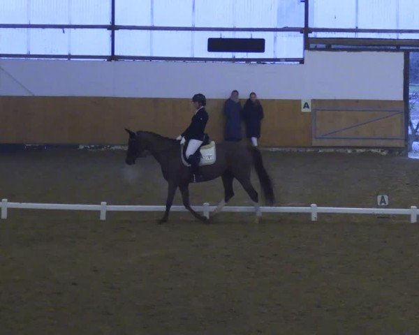Reitturnier Datteln 2025