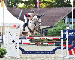jumper Koras Cancoon (German Sport Horse, 2009, from Cancoon)