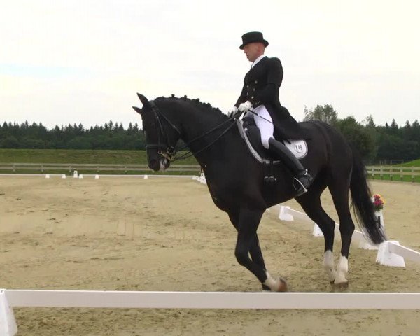 Reitturnier Linkenheim-Hochstetten 2013