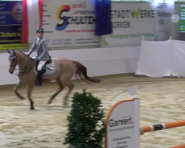 Reitturnier Borken 2025