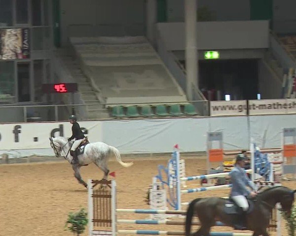 Reitturnier Kreuth/Opf. 2025