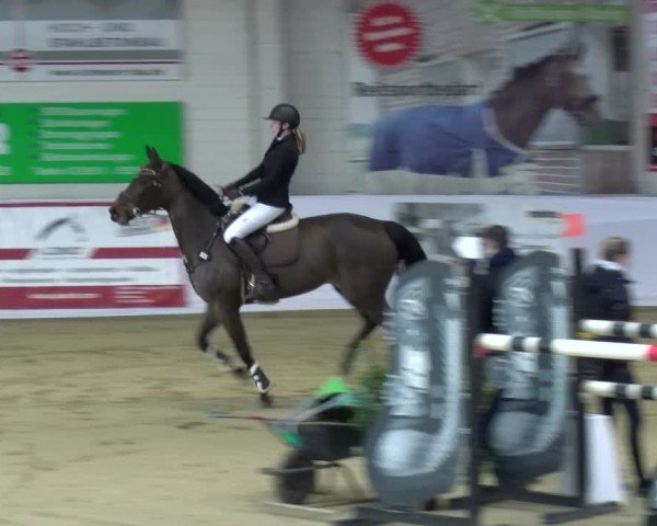 Reitturnier Borken 2025