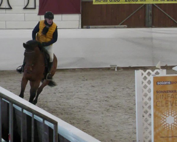 Reitturnier Zweibrücken - Halle 2025