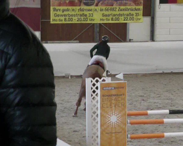 Reitturnier Zweibrücken - Halle 2025