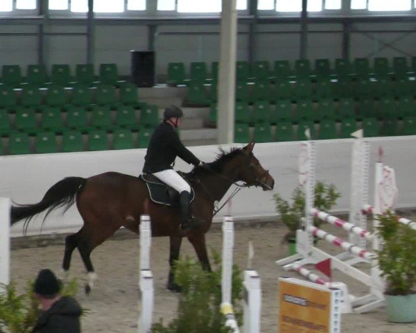 Reitturnier Zweibrücken - Halle 2025