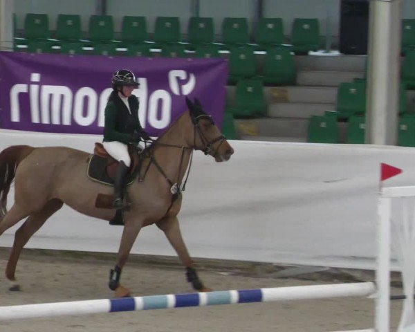 Reitturnier Zweibrücken - Halle 2025