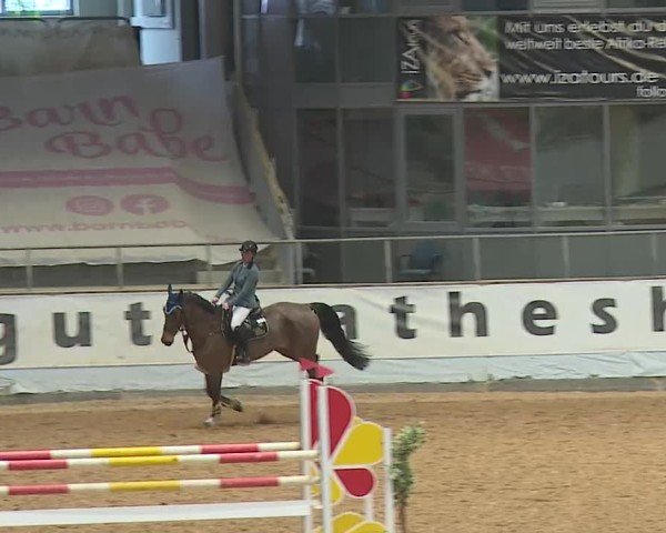 Reitturnier Kreuth/Opf. 2025
