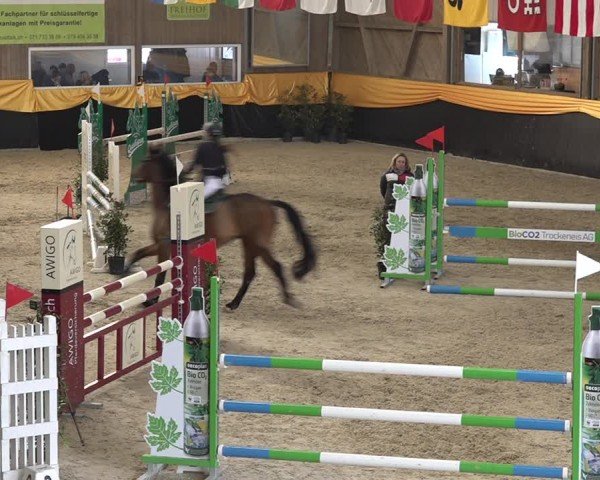 Reitturnier Erlen 2025