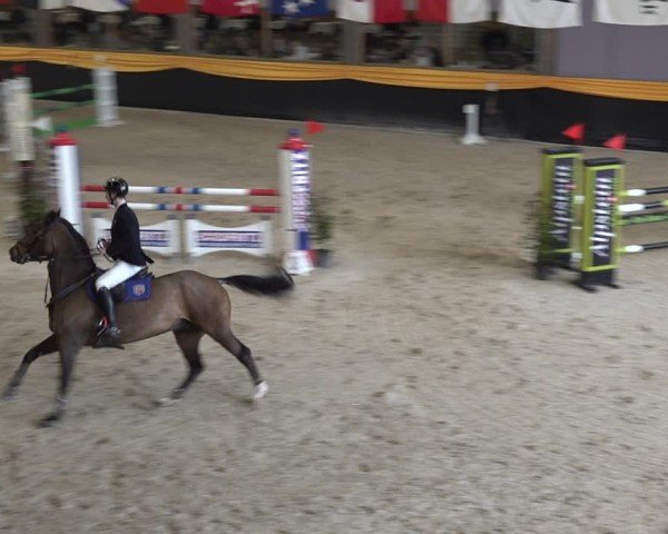 Reitturnier Erlen 2025