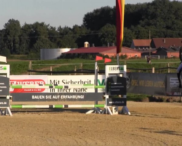Reitstall Brinkmann 2013