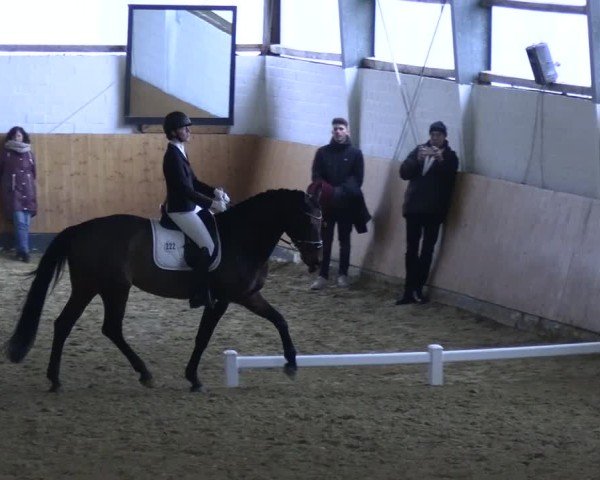 Reitturnier Datteln 2025