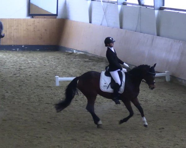Reitturnier Datteln 2025