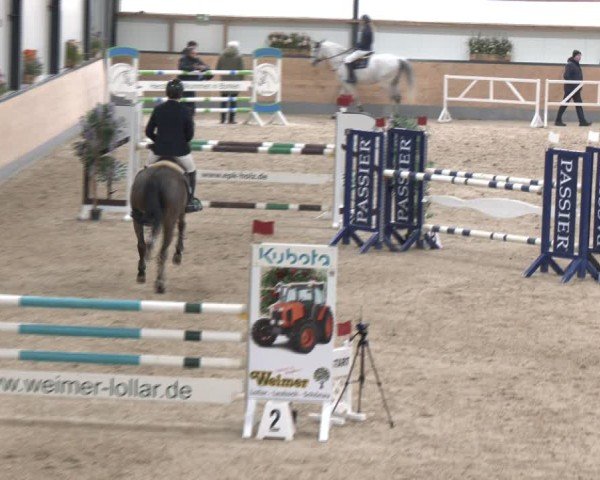 Reitturnier Borken (Hessen) 2025