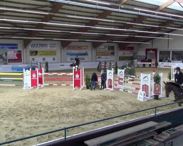 Reitturnier Borken 2025