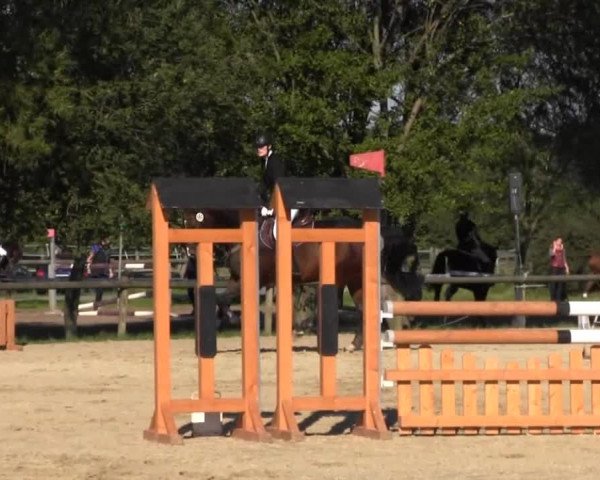 Reitstall Brinkmann 2013