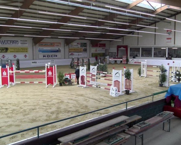 Reitturnier Borken 2025