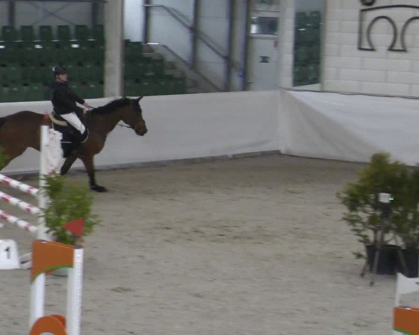 Reitturnier Zweibrücken - Halle 2025
