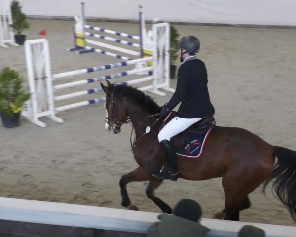 Reitturnier Zweibrücken - Halle 2025