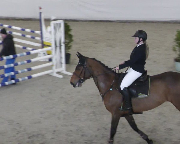 Reitturnier Zweibrücken - Halle 2025