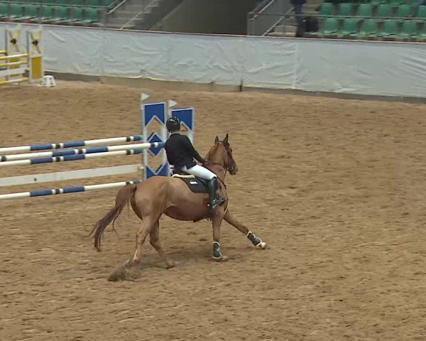 Reitturnier Kreuth/Opf. 2025