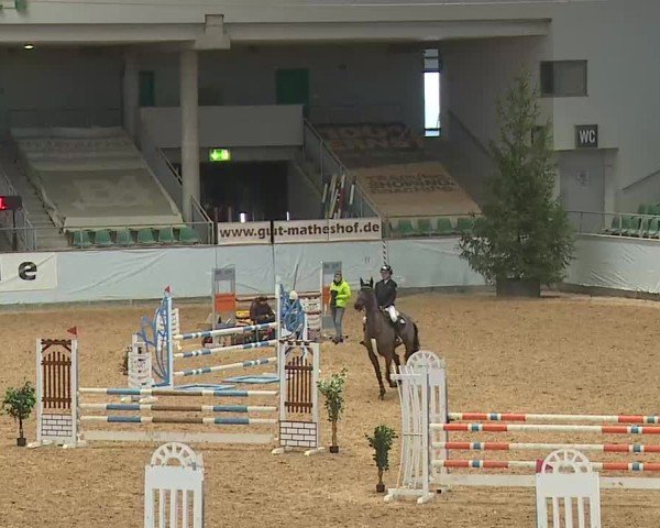 Reitturnier Kreuth/Opf. 2025